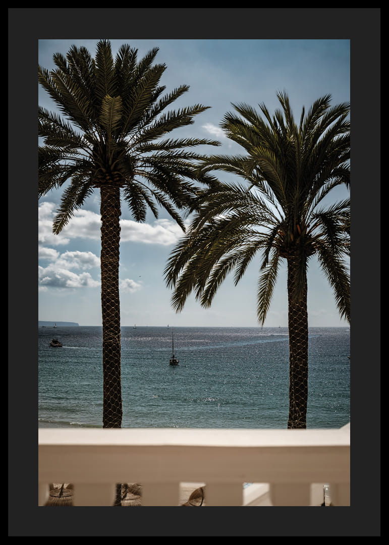 Palm trees by the sea provide peace and a heavenly calm.-12