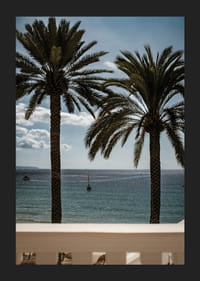 Palm trees by the sea provide peace and a heavenly calm.-5