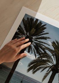 Palm trees by the sea provide peace and a heavenly calm.-9