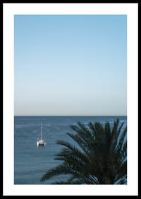 A sailboat on the horizon on a calm sea with a palm tree in the foreground.-0