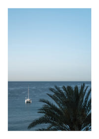 A sailboat on the horizon on a calm sea with a palm tree in the foreground.-1