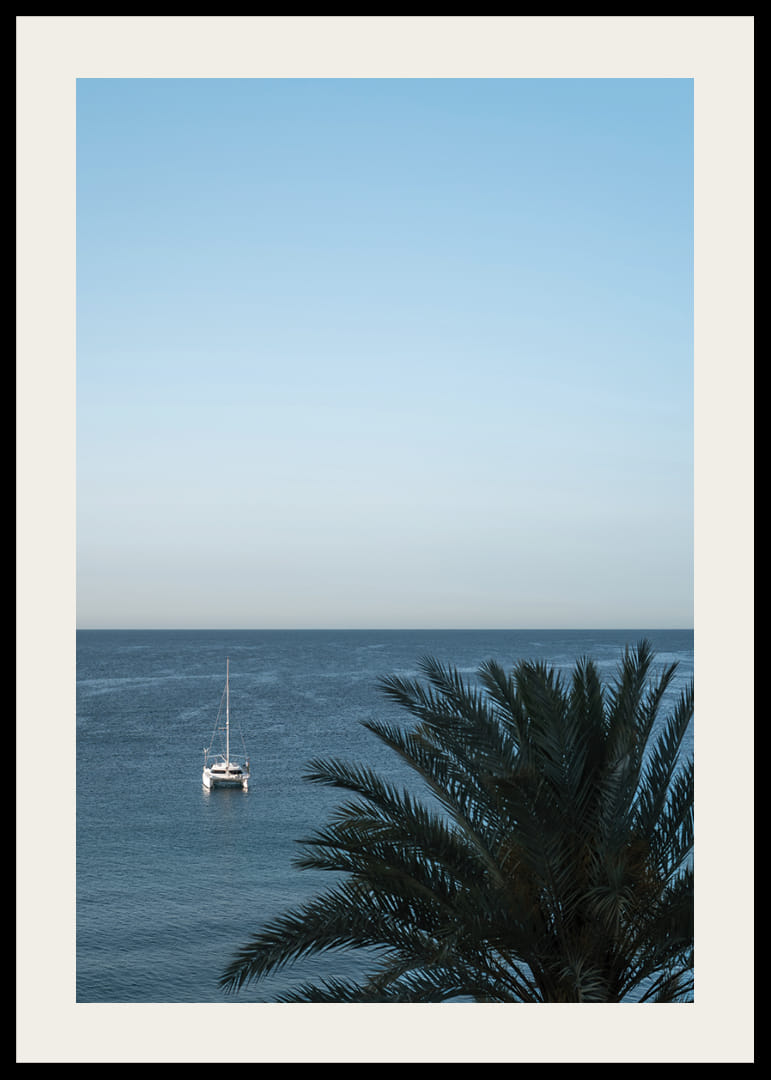 A sailboat on the horizon on a calm sea with a palm tree in the foreground.-12