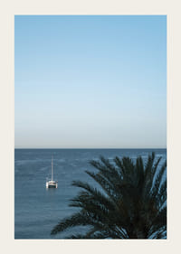 A sailboat on the horizon on a calm sea with a palm tree in the foreground.-3