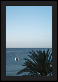 A sailboat on the horizon on a calm sea with a palm tree in the foreground.-4