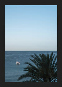 A sailboat on the horizon on a calm sea with a palm tree in the foreground.-5