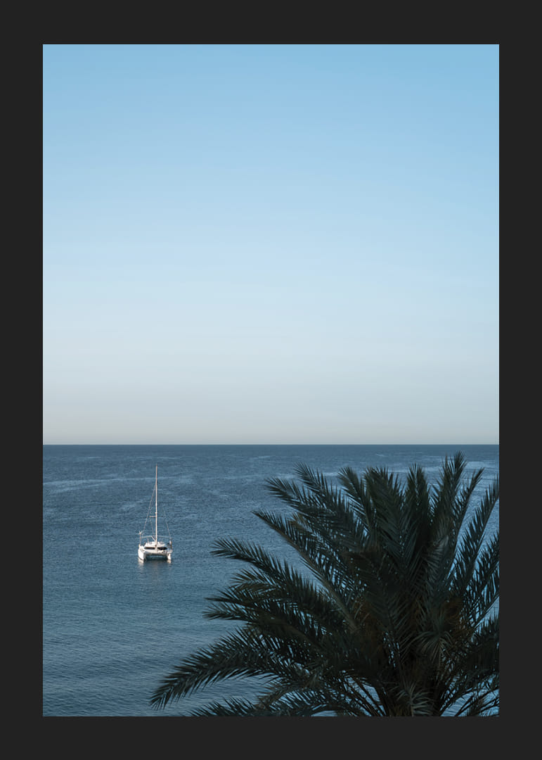 A sailboat on the horizon on a calm sea with a palm tree in the foreground.-12