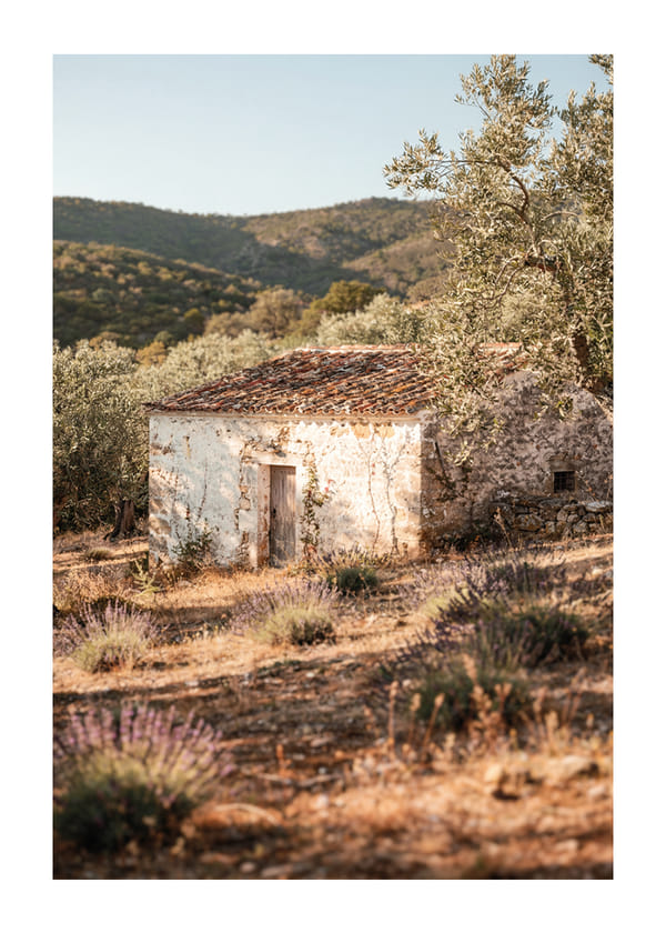Plakāts Cottage In The Olive Garden