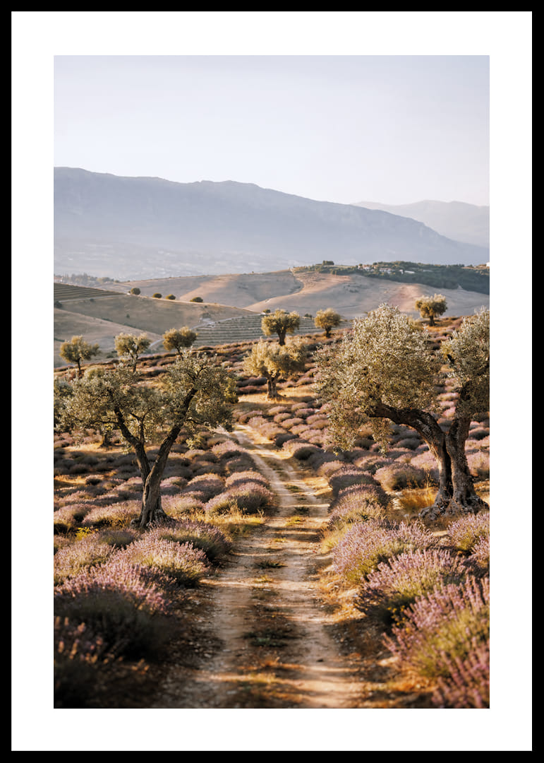 Un chemin de rêve à travers des champs de lavande baignés de soleil.-12