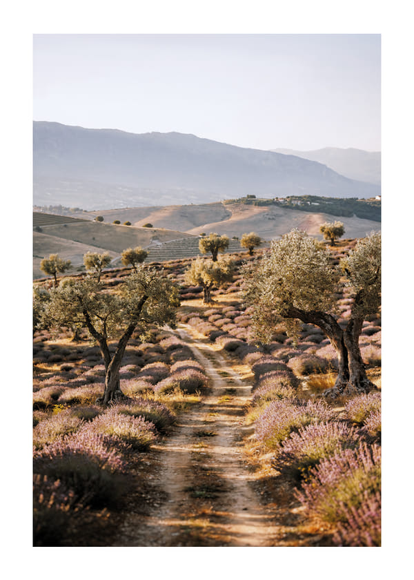 Plakāts Pathway To Calm