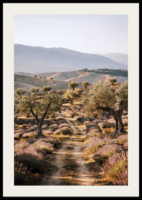 Un chemin de rêve à travers des champs de lavande baignés de soleil.-2