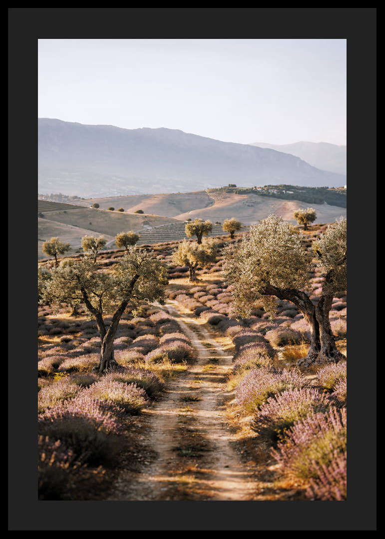 Un chemin de rêve à travers des champs de lavande baignés de soleil.-12