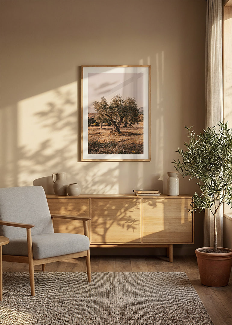 A sunlit olive grove exudes tranquility and timeless beauty.-12