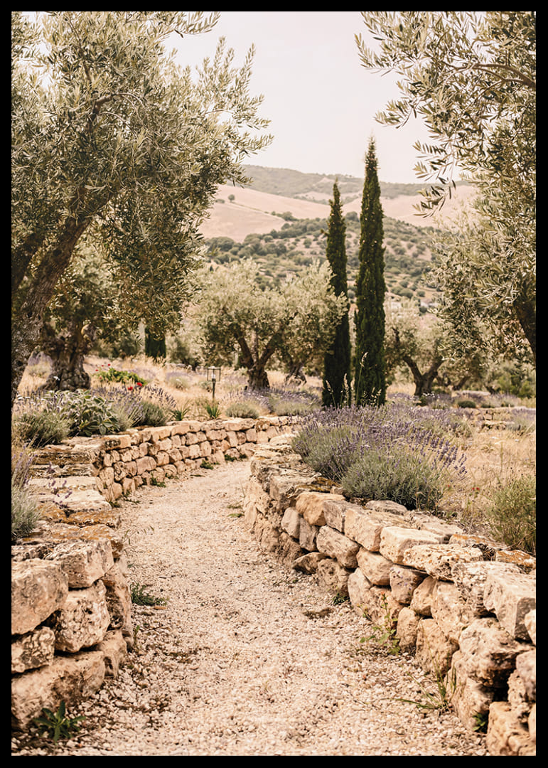Un chemin parfumé à la lavande, entouré d'oliviers, crée une atmosphère de paix et d'harmonie.-12