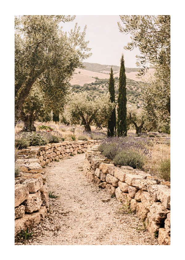 Plakāts Olives And Cypress