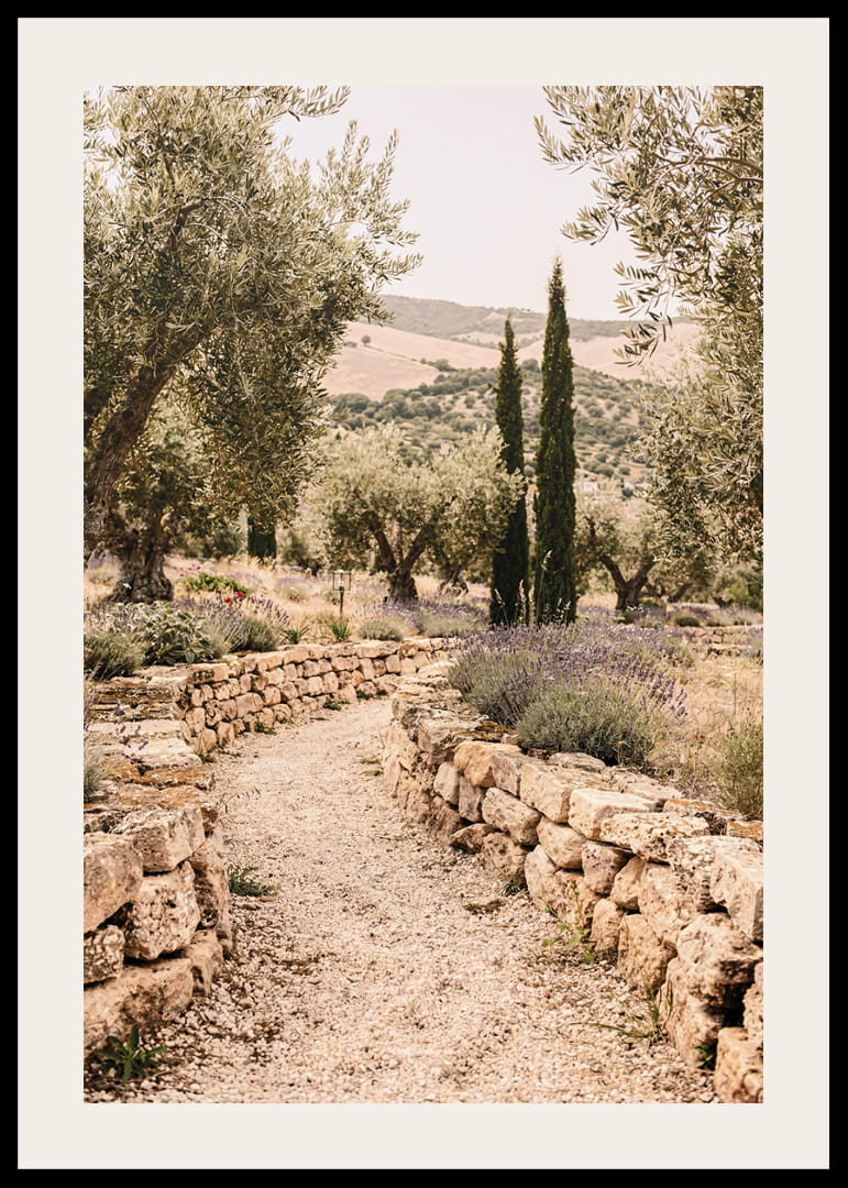 Un chemin parfumé à la lavande, entouré d'oliviers, crée une atmosphère de paix et d'harmonie.-12