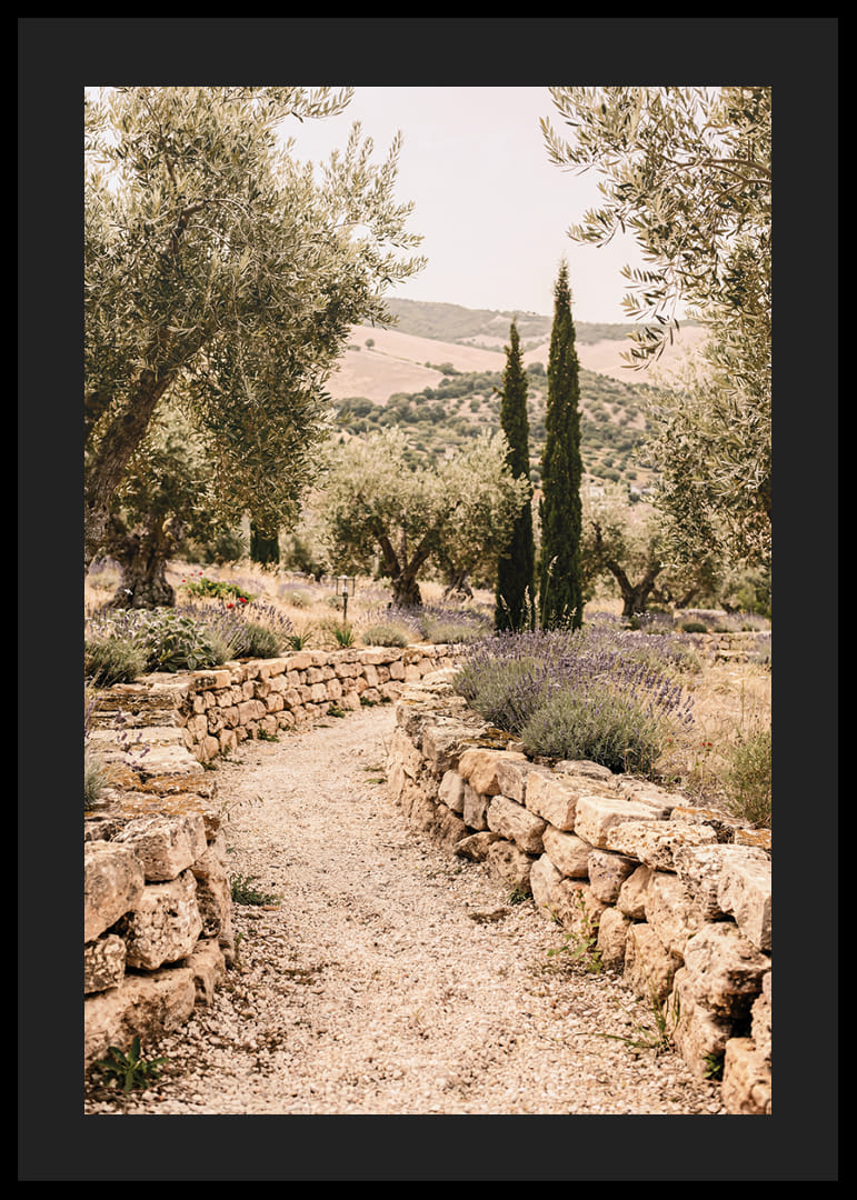 Un chemin parfumé à la lavande, entouré d'oliviers, crée une atmosphère de paix et d'harmonie.-12