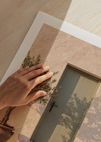 An olive tree's shadow dances on a sun-kissed door.-9