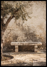 A timeless stone bench against an antique wall creates peaceful harmony.-6