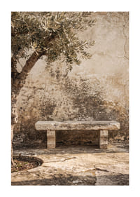 A timeless stone bench against an antique wall creates peaceful harmony.-1