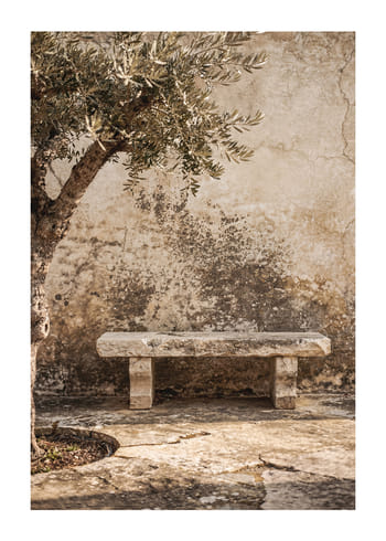 Poster Bench Under Olive Branches