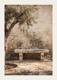 A timeless stone bench against an antique wall creates peaceful harmony.-3