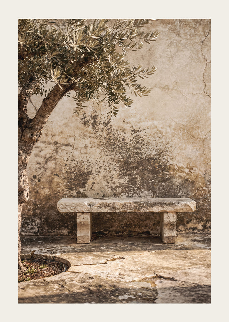 A timeless stone bench against an antique wall creates peaceful harmony.-12
