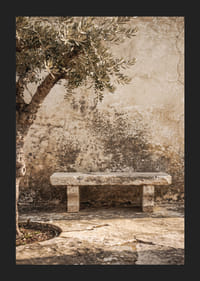 A timeless stone bench against an antique wall creates peaceful harmony.-5