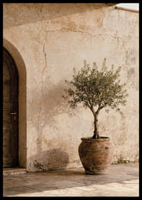An olive tree in a rustic pot gives a calm Mediterranean feel.-6