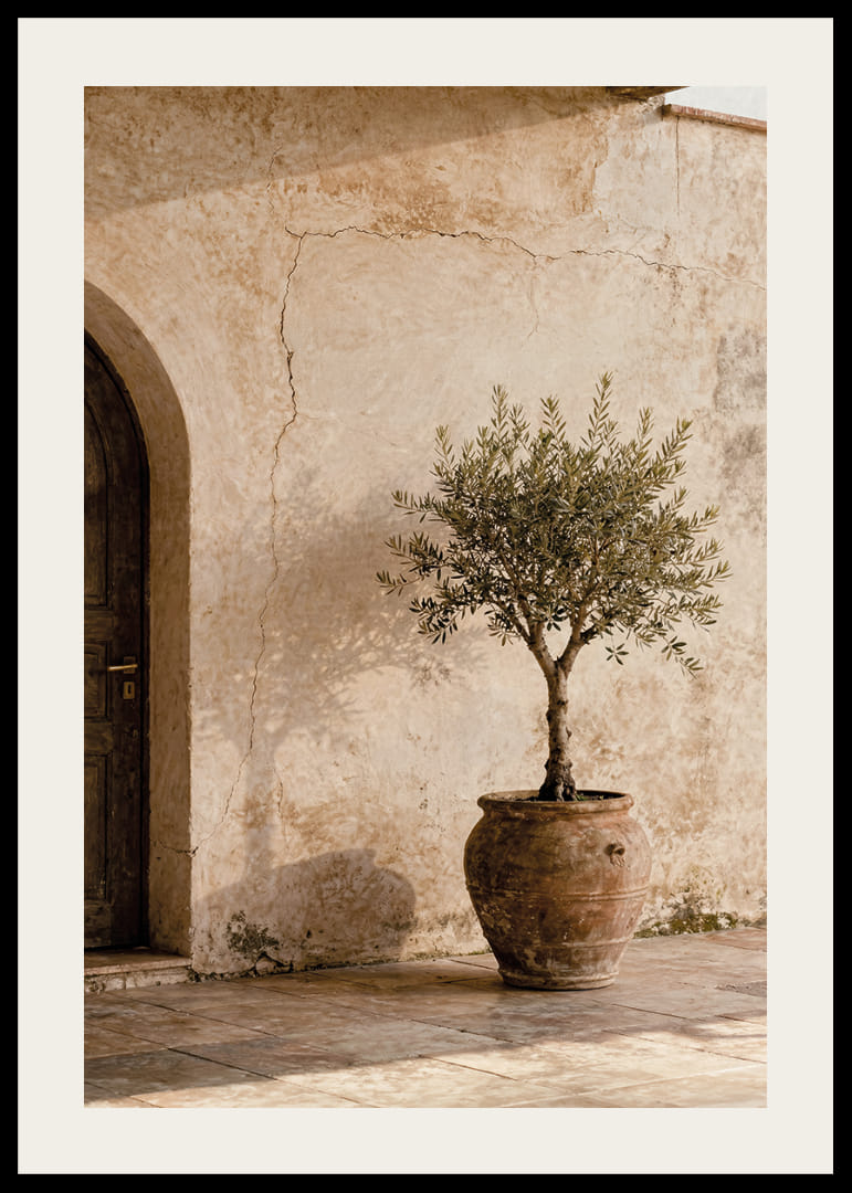 An olive tree in a rustic pot gives a calm Mediterranean feel.-12