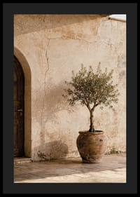 An olive tree in a rustic pot gives a calm Mediterranean feel.-4