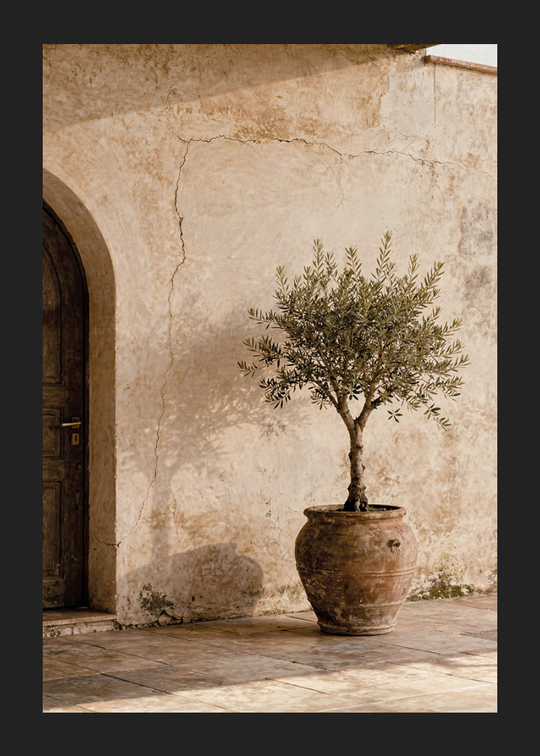An olive tree in a rustic pot gives a calm Mediterranean feel.-12
