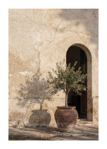 Poster Mediterranean Embrace