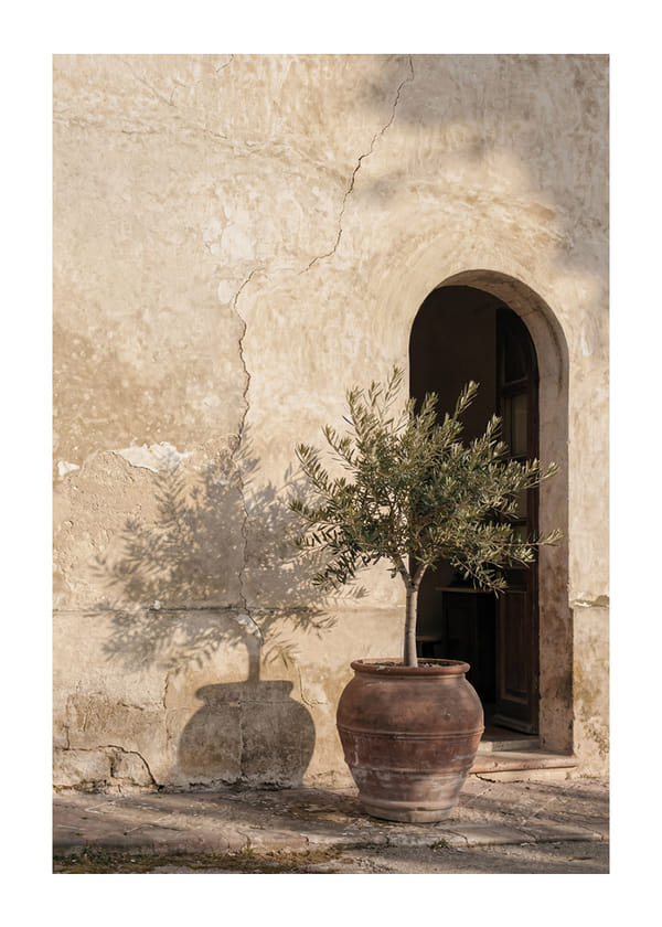 Poster Mediterranean Embrace