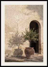 An olive tree's shadow dances against an old wall.-2