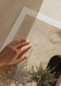 An olive tree's shadow dances against an old wall.-9