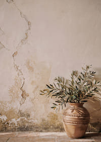 Una splendida composizione che ritrae un vaso rustico contro un muro patinato.-7