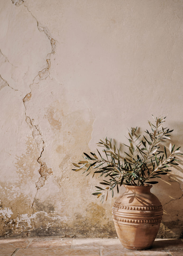 Una splendida composizione che ritrae un vaso rustico contro un muro patinato.-12