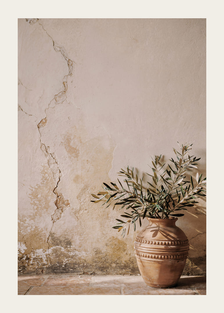 Una splendida composizione che ritrae un vaso rustico contro un muro patinato.-12