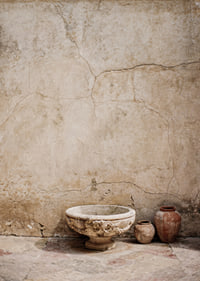 Raw, beautiful texture in an aging stone environment.-7