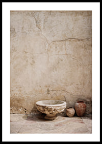 Raw, beautiful texture in an aging stone environment.-0