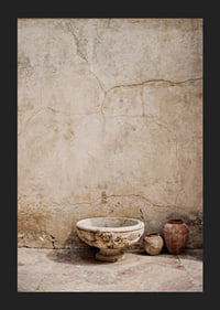 Raw, beautiful texture in an aging stone environment.-5