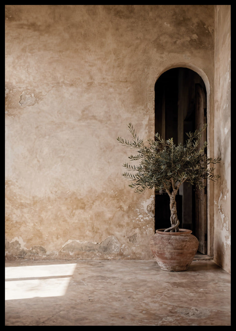 An old wall and an olive tree create timeless tranquility.-12