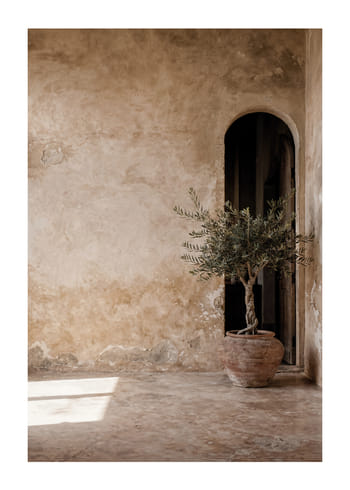 Poster Olive Arch