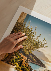 Mediterranean sea view with olive trees at sunset.-9