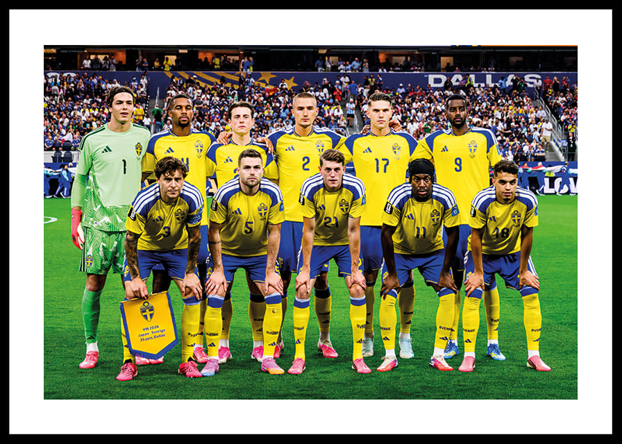 Sweden - Japan FIFA World Cup 2026-12