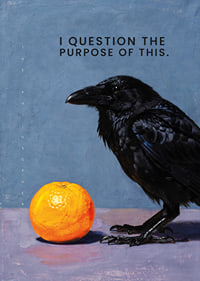The crow ponders the purpose of the orange.-7