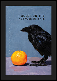 The crow ponders the purpose of the orange.-4