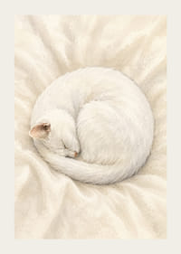 Eine schlafende Katze, eingebettet in weiche, weiße Textilien.-3