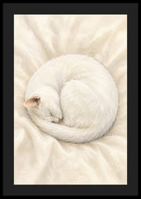 Eine schlafende Katze, eingebettet in weiche, weiße Textilien.-4