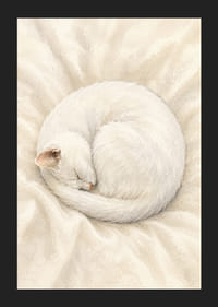 Eine schlafende Katze, eingebettet in weiche, weiße Textilien.-5